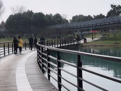 -桐乡凤凰湖