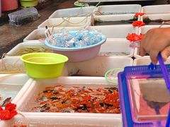 -清平路水族市场