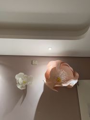 -美丽田园