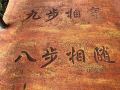 -黄山翡翠谷景区