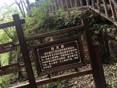 -五女峰国家森林公园