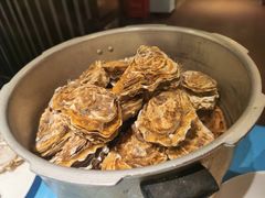 -千岛蚝高压锅生蚝·人参火锅(白云万达店)