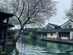 -乌镇景区
