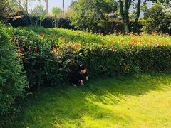 -楠溪江风景名胜区