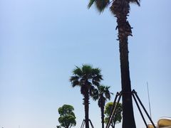 -碧海金沙