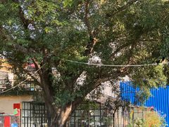 -NOTOOCAFE不二咖啡馆(岩前店)