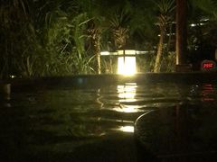 -水底山庄园温泉