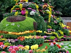 -上海共青森林公园