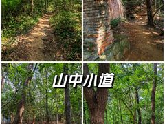 -紫金山山顶公园