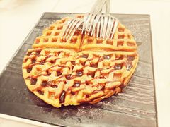 -喵园·猫主题咖啡厅·撸猫·猫咖(国贸店)