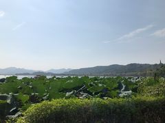 -湖畔居茶楼(湖滨店)