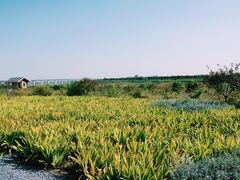 -永定河休闲森林公园