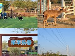-盈香心动乐园