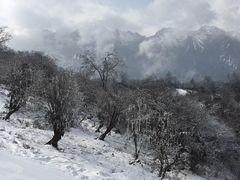 -太子岭滑雪场