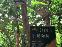-北戴河集发农业梦想王国