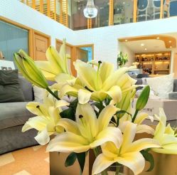 -熙朵美学植发·连锁品牌