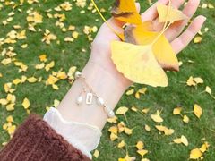 -重庆市江北嘴中央商务区中央公园