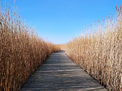 -野鸭湖国家湿地公园