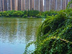 -成都南湖公园