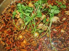 冷锅鱼-蜀大侠火锅(森兰花园城店)