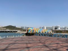 -琴岛之星摩天轮
