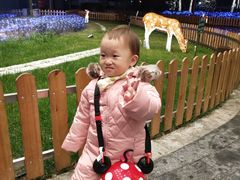 -浦东绿地铂骊酒店品珍轩中餐厅