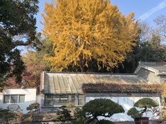 -水绘园
