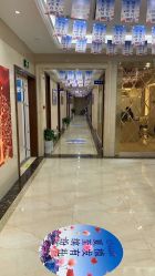 -碧莲盛·不剃发植发