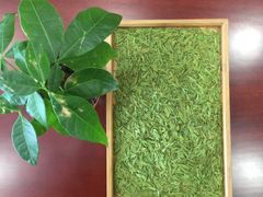 -文雅轩茶叶(锦和越界田林坊店)