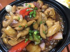 -品雅轩农家乐