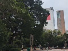 -九龙公园