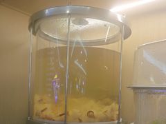 -海底捞火锅(万达广场店)