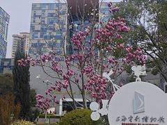 -上海电影博物馆