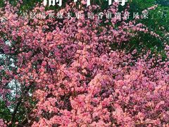 -重庆彩云湖湿地公园