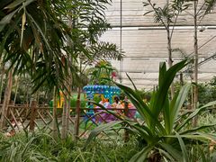 -南宫五洲植物乐园