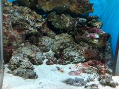 -鹿儿岛水族馆