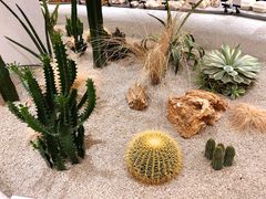 -OUR Bakery(SKP-S店)