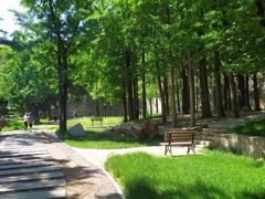 -阳台山自然风景区