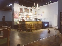 -猫咪咖啡·猫咖(万达广场店)