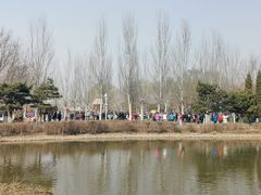 -长白岛森林公园