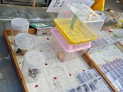 -中环花鸟鱼虫市场