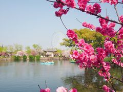 -无锡蠡湖国家湿地公园-蠡园