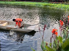 -荔湾湖公园