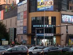 -胡大怪手工酸辣粉(安亭店)
