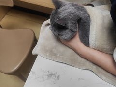 -格蕾宠物医院24H·猫科·肿瘤科·骨科中心(福州总院)
