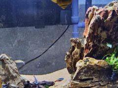 -朝来春花卉市场-东停车场