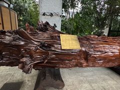 -天赐温泉