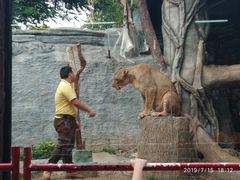 -清迈夜间动物园