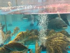 -耕渔小院·湖南鱼鲜(望城店)