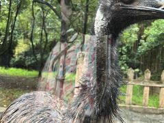 -杭州野生动物世界